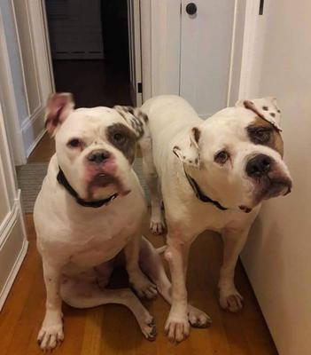 Bullet is on the right