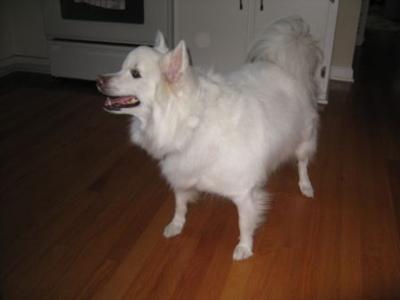 Sabo as we'll always remember him