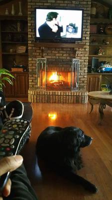 Sharing the winter season with my granddog
