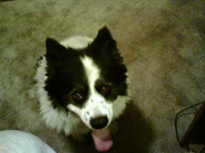 We are buddies forever!