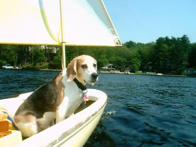 Seamus sailing