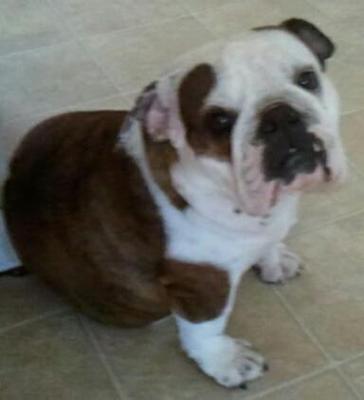 Sissy, our shooting star