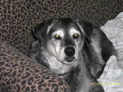 Such a beautiful face, Spunky