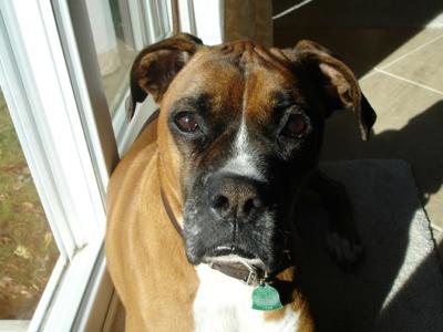 November 25, 2001 - May 19, 2008