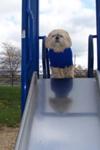 Molly at the Playground