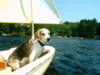 Seamus sailing