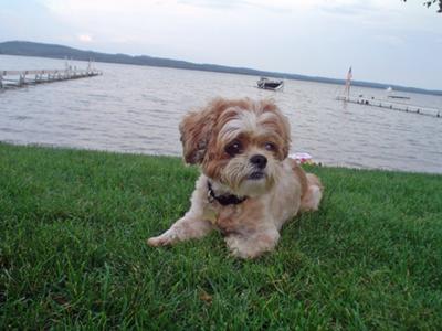 Roxy on Vacation @ Lake Leelanau-2007