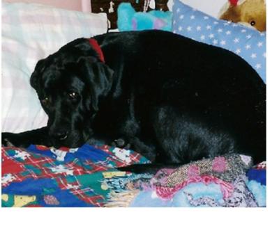 He is/was/forever adorable