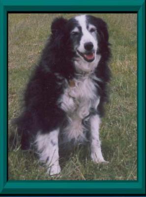 Whisper at 17.1/2 years