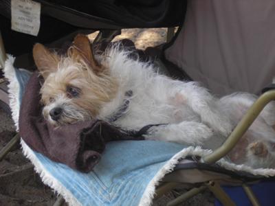 Winky at Sycamore Cove