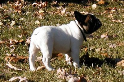 Winston 2004 to 2011